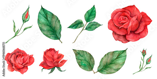 PNG Watercolor red roses illustration on transparent background