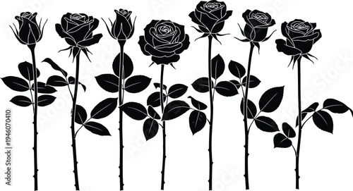 Black and white illustration of roses and leaves on stems