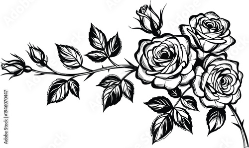 Black and white illustration of roses with leaves and stems
