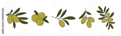 Mediterranean vintage olive ripe fruit set with green leaves. Oil food of Greek and Italian cuisine 