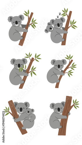 Adorable koalas in various poses clinging to tree branches showcasing cute animal behavior