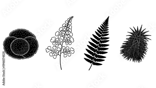 Botanical Silhouettes Collection Featuring Ferns and Succulent Plants