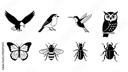 Collection of diverse flying insects and birds rendered in a minimalist black and white vector style