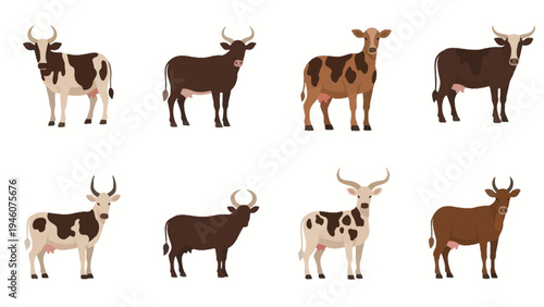 Collection of Diverse Farm Cattle Breeds Standing on a Clean White Background