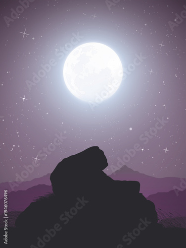 Landscape with large stone on moonlight night. Big moon in starry sky