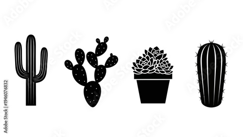 Collection of stylized black and white cactus and succulent plant illustrations