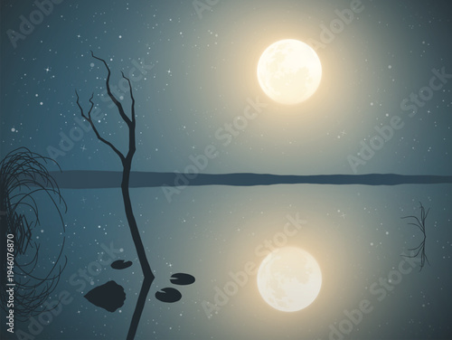Calm mountain lake with bare tree and reflection. Moon and starry sky