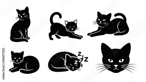 Collection of stylized black cat illustrations in various poses and activities