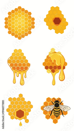 Sweet Honeycomb and Bee Illustrations A Delicious Collection of Natural Goodness