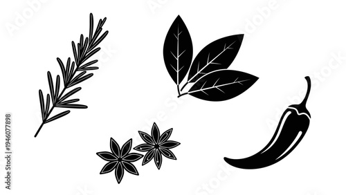 Set of culinary herbs and spices including rosemary bay leaves star anise and chili pepper