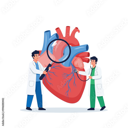 Doctors examining human heart with stethoscope and magnifying glass, cardiology concept