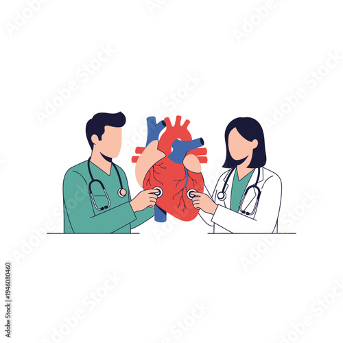 Doctors examining human heart with stethoscope, cardiology concept