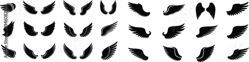 Collection of black feather illustrations on white background