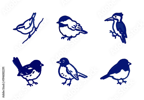 Hand-drawn garden bird sketches for organic brand identity. Rustic, naive blue marker illustrations featuring songbirds and backyard wildlife.