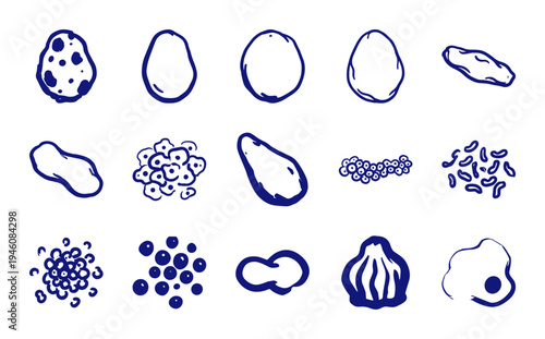 Hand-drawn organic cell structures and microscopic biological elements. Rustic naive marker sketch illustrations of bacteria, spores, and amoeba for science branding.