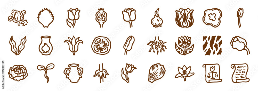 Obraz premium Hand-drawn botanical tulip and garden elements for organic branding. Rustic naive marker sketch illustrations featuring bulbs, roots, and floral scrolls.