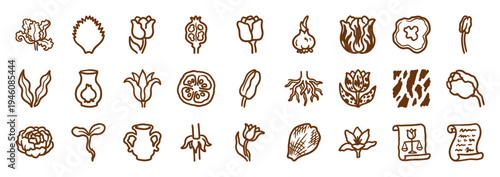 Hand-drawn botanical tulip and garden elements for organic branding. Rustic naive marker sketch illustrations featuring bulbs, roots, and floral scrolls.