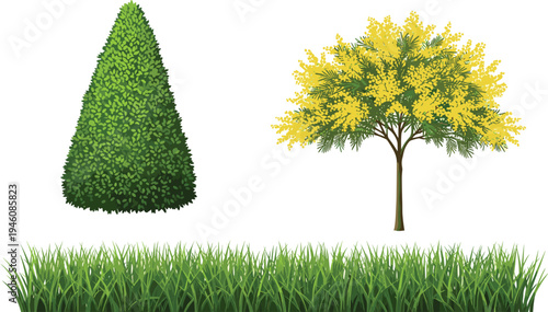Flat Vector Illustration of Green Cone Topiary Bush Yellow Flowering Mimosa Tree and Lush Garden Grass Border Isolated on White Background