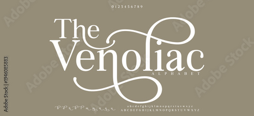 The Venoliac premium luxury elegant alphabet letters and numbers. Elegant wedding typography classic serif font decorative vintage retro. Creative vector illustration