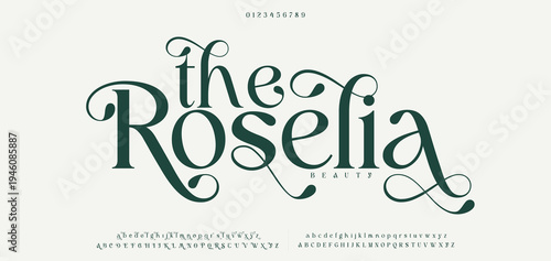 The Roselia Elegant alphabet beauty logo font. Classic beautiful Modern luxury Serif Letter Minimal Fashion. Typography decoration logotype fonts, wedding, logos. vector illustration