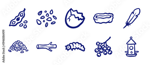 Hand-drawn nature and garden elements with rustic marker sketch aesthetic. Naive doodle illustrations featuring seeds, birdhouse, and organic forest finds.