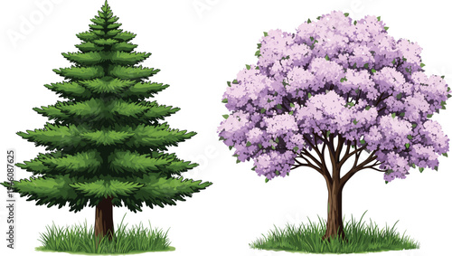 Vector illustration of a green coniferous spruce tree and a blooming purple lilac tree isolated on a white background with grass
