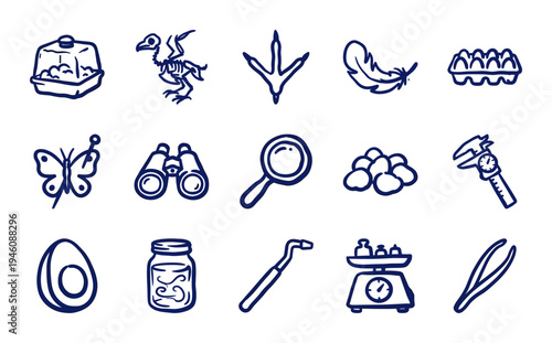Hand-drawn biology and laboratory research elements for academic branding. Rustic, naive marker sketch illustrations of ornithology and science concepts.