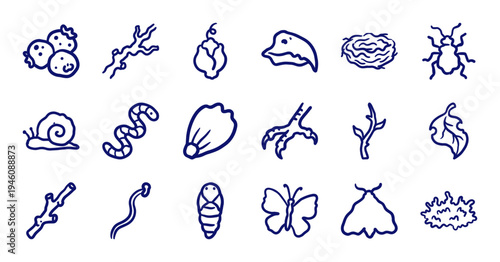 Hand-drawn forest floor and garden wildlife elements for organic branding. Rustic naive marker sketch illustrations of insects, plants, and nature.