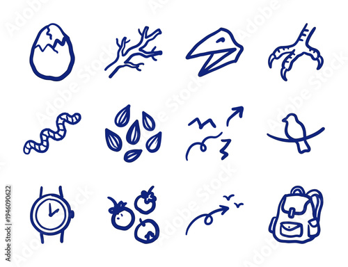 Hand-drawn bird and nature exploration elements in a naive doodle style. Rustic marker sketch illustrations for outdoor adventure and birdwatching.