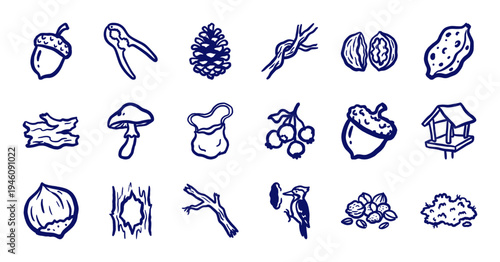 Hand-drawn forest foraging and autumn nature elements in a rustic marker sketch style. Naive doodle illustrations of acorns, nuts, and woodland life.