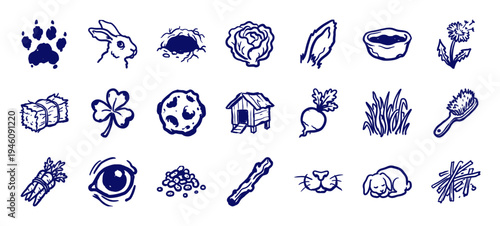 Hand-drawn rabbit care and bunny lifestyle elements in a naive doodle style. Rustic marker sketch illustrations for pet shop branding and animal welfare.