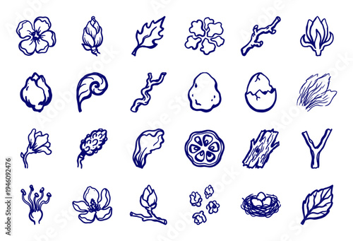 Hand-drawn botanical and garden elements with a rustic ink doodle aesthetic. Naive organic floral sketches including buds, leaves, branches, and nests.