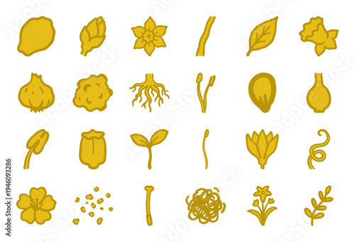 Hand-drawn botanical anatomy and garden growth elements for organic branding. Rustic, naive marker sketch illustrations of seeds, roots, and flowers.