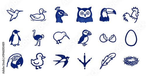 Hand-drawn bird and avian life elements for organic brand identity. Rustic, naive marker sketch illustrations featuring various bird species and nature concepts.