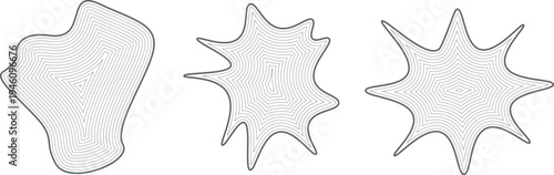 Illustration of three fossilized shells or radiolarian specimens