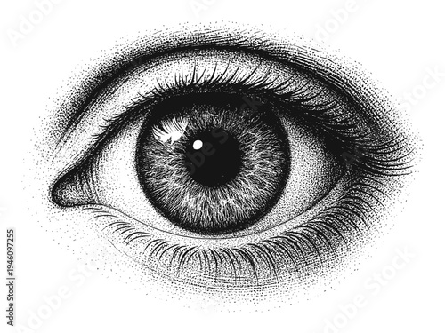 Highly detailed monochrome stippled illustration of a human eye in close-up, emphasizing iris and pupil texture, eyelashes and eyelids with fine dotwork, engraving-style shading and realism