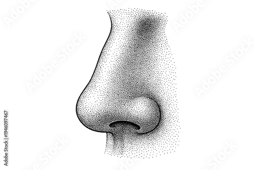 Detailed stippled ink illustration of a human nose in profile view, showing the nasal bridge, tip, and nostril with precise dot shading and anatomical contouring for study or art.