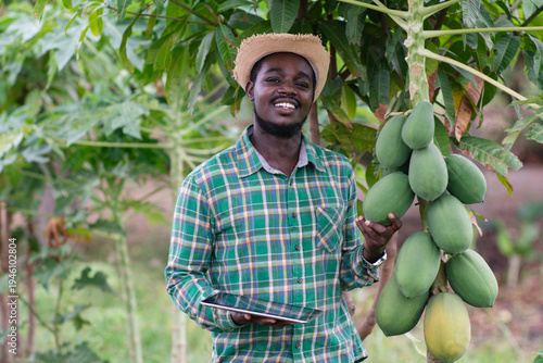 African Smart Farmer Inspecting Papaya Harvest with Digital Tablet