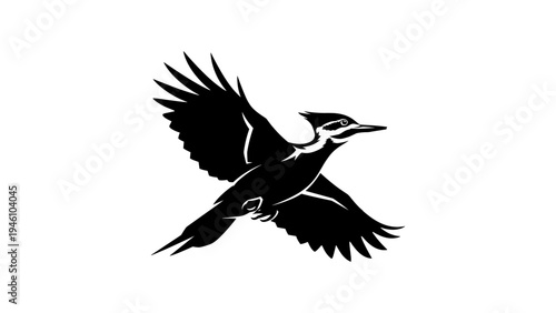 Black and white woodpecker silhouette in mid-flight on white background