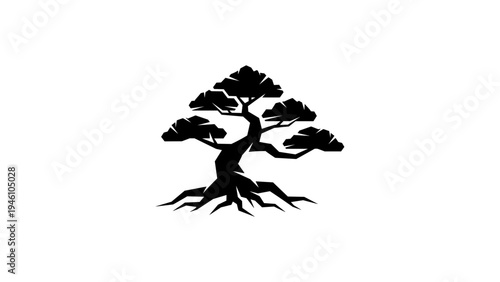 Minimalist black silhouette of bonsai tree with striking roots and spreading branches