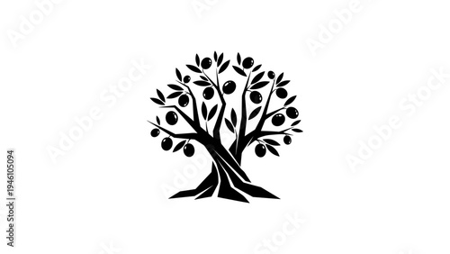 Elegant silhouette of an olive tree with leaves and fruits