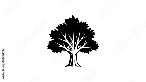 Elegant tree silhouette with detailed leaves and branches