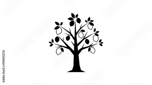 Silhouette tree with leaves and fruit isolated on white background