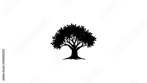 Silhouette of a tree with lush foliage on white background