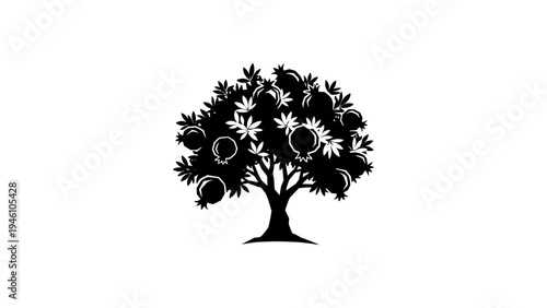Black silhouette of pomegranate tree on white background