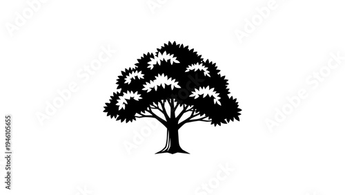 Elegant silhouette of a tree with lush foliage on white background