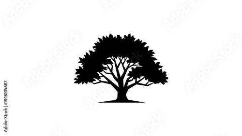 Majestic tree silhouette with lush foliage isolated on white background