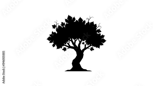 Silhouette of a mature tree with dense foliage on white background