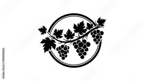 Elegant silhouette of a grapevine with leaves and clusters in circular frame