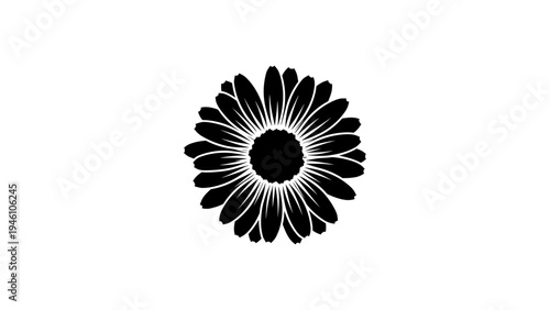 Silhouette of a daisy: bold floral design in black and white